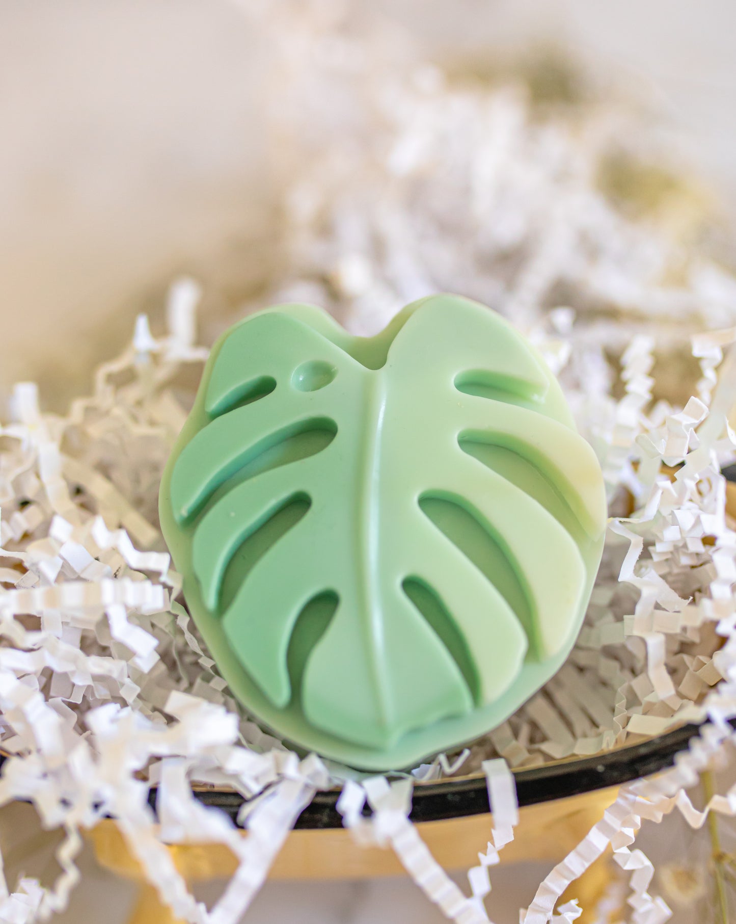 "Monstera Soap Bar"